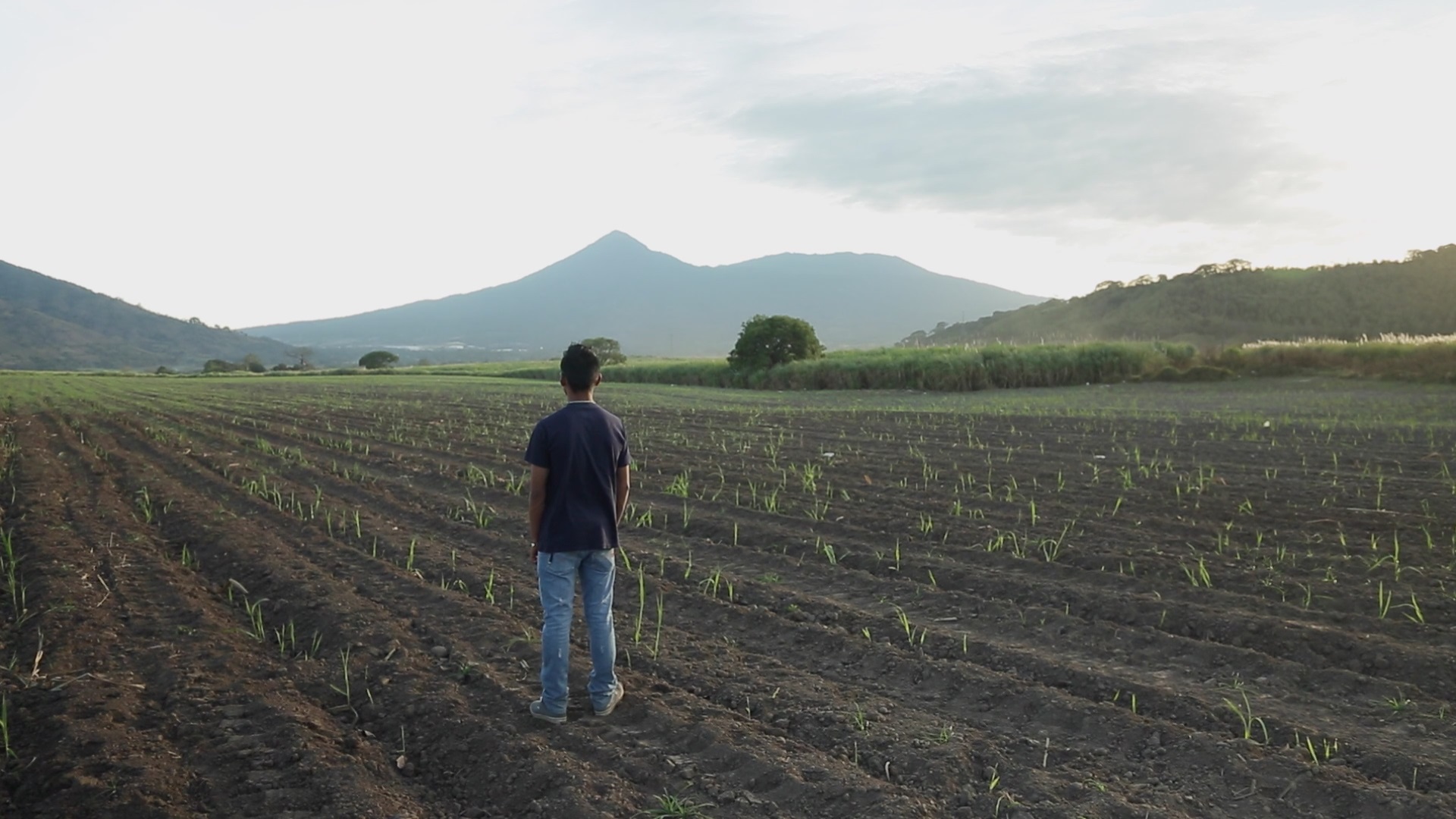 El Camino Más Largo